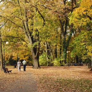 Jesienny Park Sołacki | Październik 2024