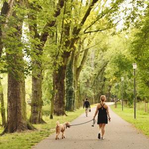 Park Wodziczki o zachodzie słońca | Sierpień 2024