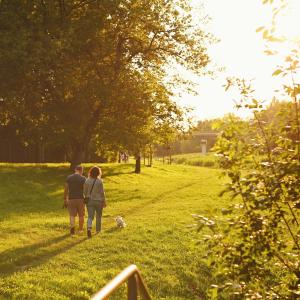 Park Wodziczki o zachodzie słońca | Sierpień 2024