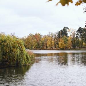 Jesienny Park Sołacki | Październik 2024