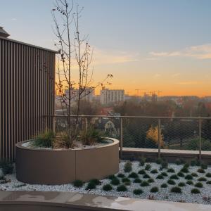 Pułaskiego 19 | Listopad 2025 