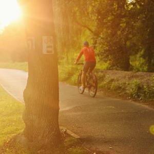 Park Wodziczki o zachodzie słońca | Sierpień 2024