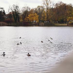 Jesienny Park Sołacki | Październik 2024