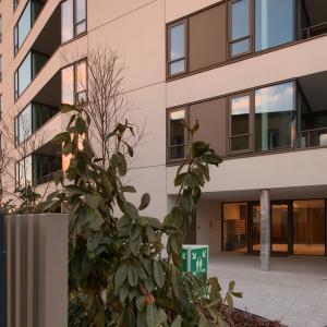 Pułaskiego 19 | Luty 2026